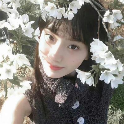 亲爱的独裁者