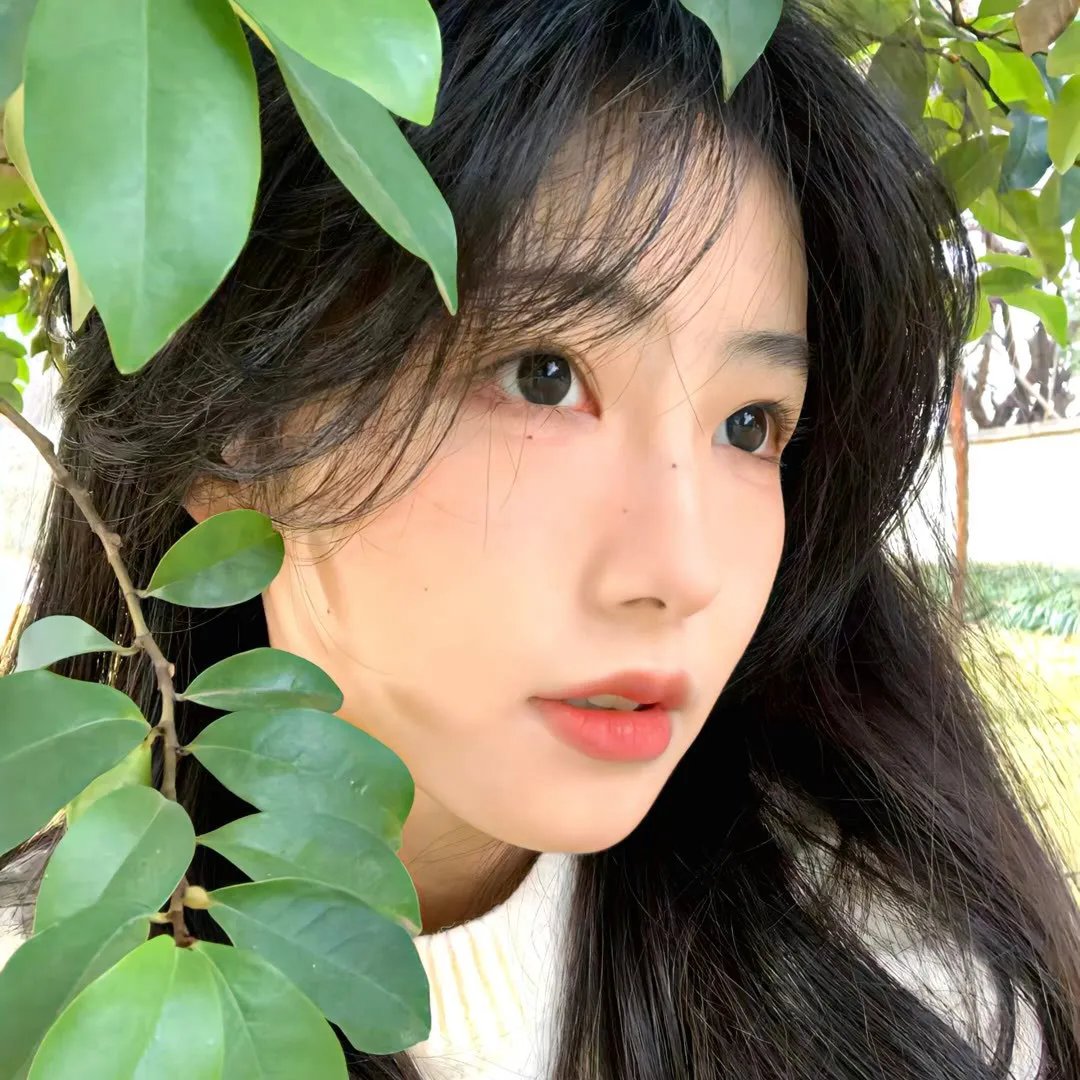 神奇的真菌